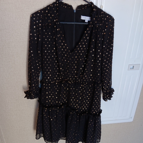 Hunter Bell New York Women’s Amanda 3/4 Sleeve Black Gold Dress Size 4 semi new - Picture 2 of 6